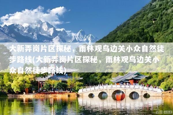 大新弄岗片区探秘，雨林观鸟边关小众自然徒步路线(大新弄岗片区探秘，雨林观鸟边关小众自然徒步路线)