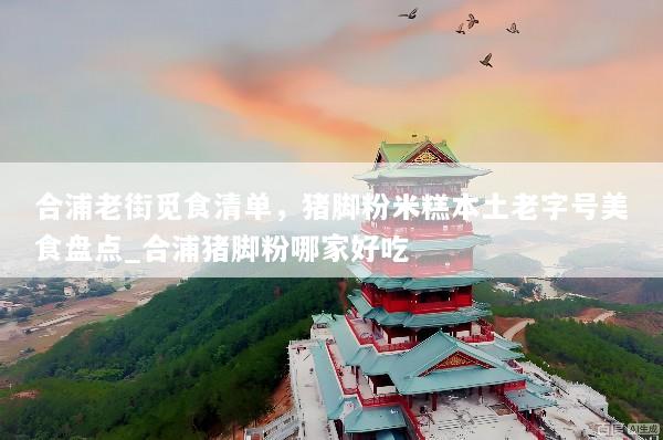合浦老街觅食清单，猪脚粉米糕本土老字号美食盘点_合浦猪脚粉哪家好吃