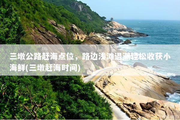 三墩公路赶海点位，路边浅滩退潮轻松收获小海鲜(三墩赶海时间)