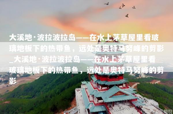 大溪地·波拉波拉岛——在水上茅草屋里看玻璃地板下的热带鱼，远处是奥特马努峰的剪影_大溪地·波拉波拉岛——在水上茅草屋里看玻璃地板下的热带鱼，远处是奥特马努峰的剪影