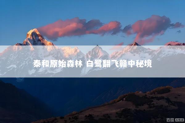 泰和原始森林 白鹭翻飞赣中秘境