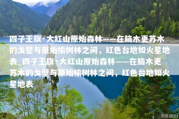 四子王旗·大红山原始森林——在脑木更苏木的戈壁与原始榆树林之间，红色台地如火星地表_四子王旗·大红山原始森林——在脑木更苏木的戈壁与原始榆树林之间，红色台地如火星地表