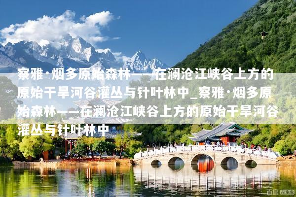 察雅·烟多原始森林——在澜沧江峡谷上方的原始干旱河谷灌丛与针叶林中_察雅·烟多原始森林——在澜沧江峡谷上方的原始干旱河谷灌丛与针叶林中