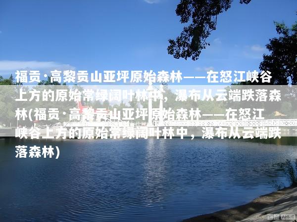 福贡·高黎贡山亚坪原始森林——在怒江峡谷上方的原始常绿阔叶林中，瀑布从云端跌落森林(福贡·高黎贡山亚坪原始森林——在怒江峡谷上方的原始常绿阔叶林中，瀑布从云端跌落森林)