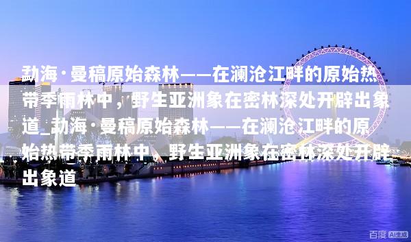 勐海·曼稿原始森林——在澜沧江畔的原始热带季雨林中，野生亚洲象在密林深处开辟出象道_勐海·曼稿原始森林——在澜沧江畔的原始热带季雨林中，野生亚洲象在密林深处开辟出象道