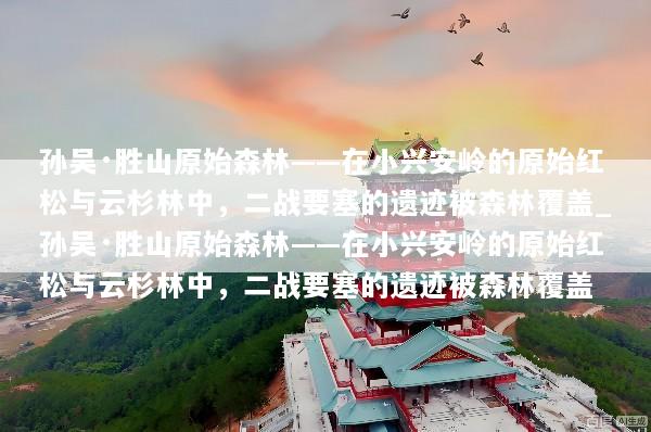孙吴·胜山原始森林——在小兴安岭的原始红松与云杉林中，二战要塞的遗迹被森林覆盖_孙吴·胜山原始森林——在小兴安岭的原始红松与云杉林中，二战要塞的遗迹被森林覆盖