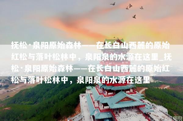 抚松·泉阳原始森林——在长白山西麓的原始红松与落叶松林中，泉阳泉的水源在这里_抚松·泉阳原始森林——在长白山西麓的原始红松与落叶松林中，泉阳泉的水源在这里