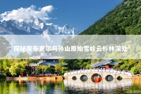 探秘察布查尔乌孙山原始雪岭云杉林深处