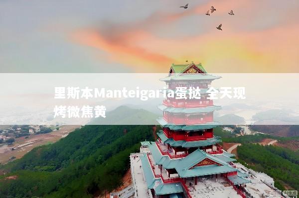 里斯本Manteigaria蛋挞 全天现烤微焦黄