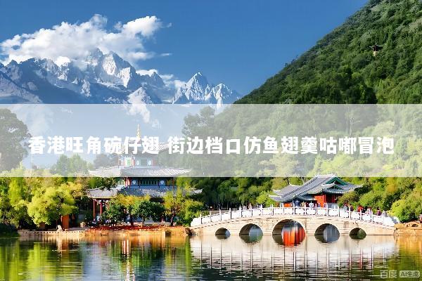 香港旺角碗仔翅 街边档口仿鱼翅羹咕嘟冒泡