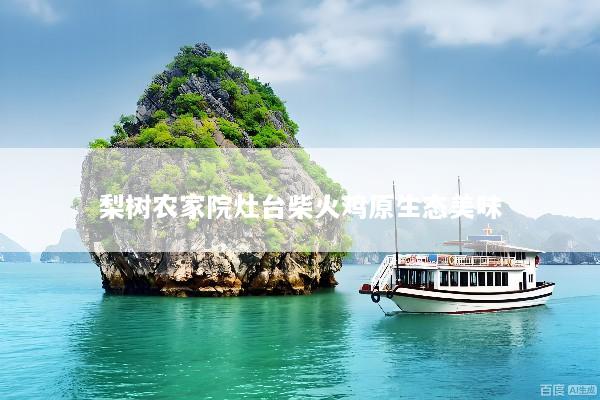 梨树农家院灶台柴火鸡原生态美味