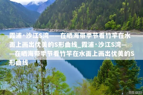 霞浦·沙江S湾——在晒海带季节看竹竿在水面上画出优美的S形曲线_霞浦·沙江S湾——在晒海带季节看竹竿在水面上画出优美的S形曲线