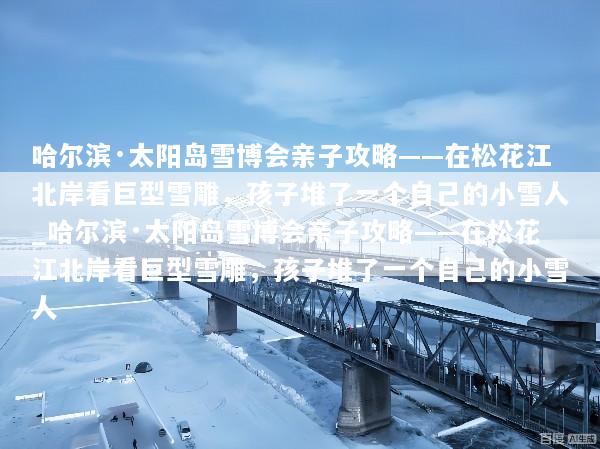 哈尔滨·太阳岛雪博会亲子攻略——在松花江北岸看巨型雪雕，孩子堆了一个自己的小雪人_哈尔滨·太阳岛雪博会亲子攻略——在松花江北岸看巨型雪雕，孩子堆了一个自己的小雪人