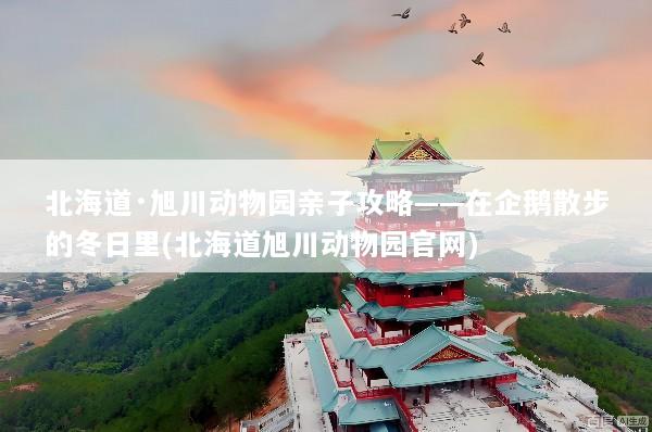 北海道·旭川动物园亲子攻略——在企鹅散步的冬日里(北海道旭川动物园官网)